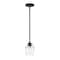 Designers Fountain Summer Jazz 60 Watt 1-Light Matte Black Transitional Pendant Light with Clear Glass Shade D310M-5P-MB - alternate 1